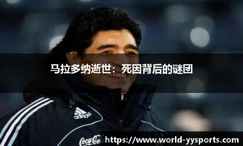 易游yy体育官网